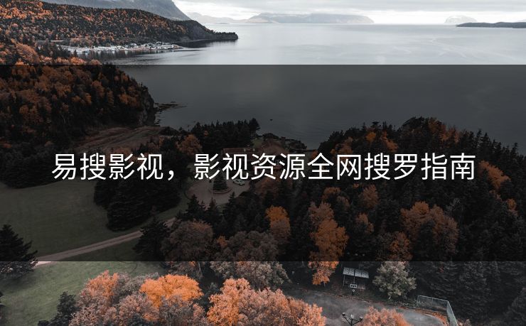 易搜影视，影视资源全网搜罗指南