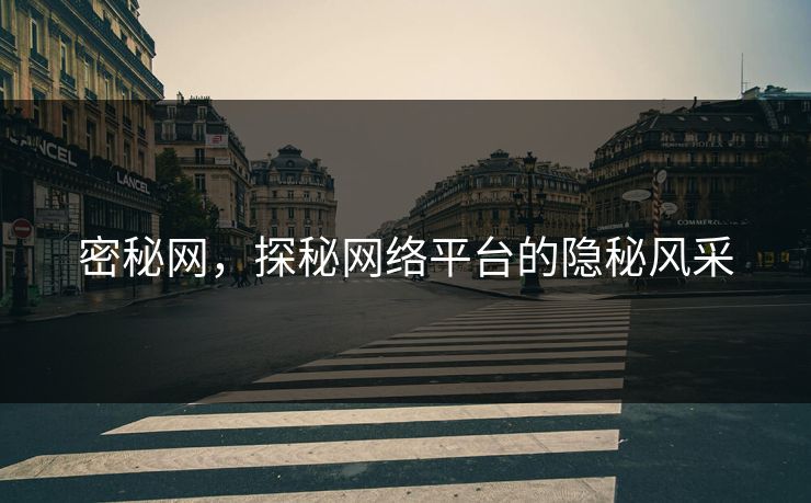 密秘网，探秘网络平台的隐秘风采
