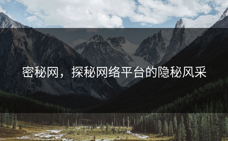 密秘网，探秘网络平台的隐秘风采