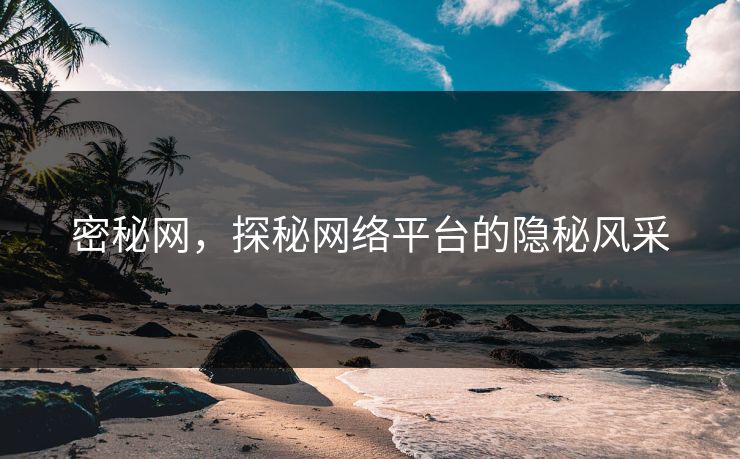 密秘网，探秘网络平台的隐秘风采