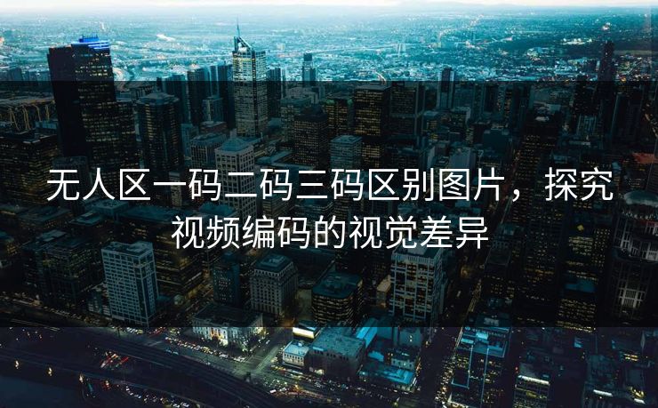无人区一码二码三码区别图片，探究视频编码的视觉差异