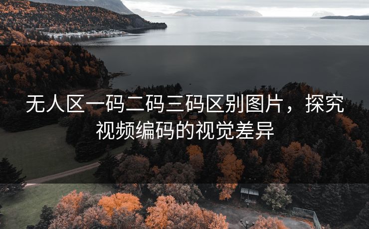 无人区一码二码三码区别图片，探究视频编码的视觉差异