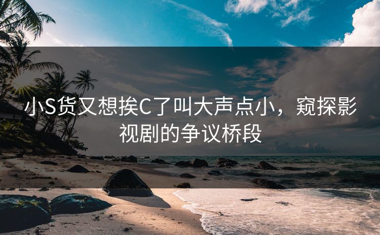 小S货又想挨C了叫大声点小，窥探影视剧的争议桥段