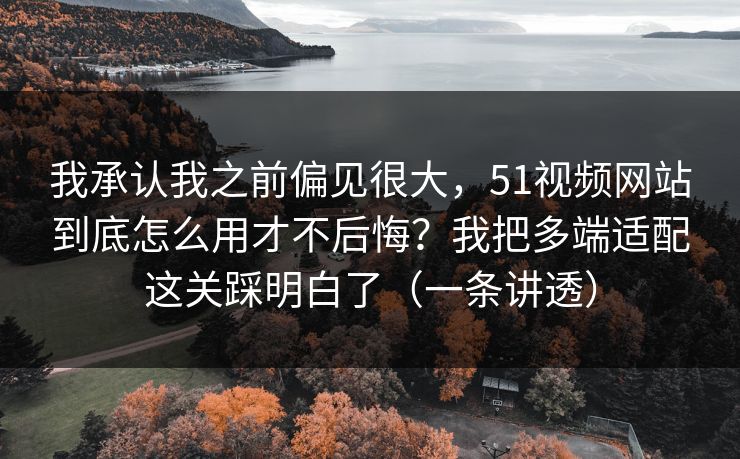 我承认我之前偏见很大，51视频网站到底怎么用才不后悔？我把多端适配这关踩明白了（一条讲透）