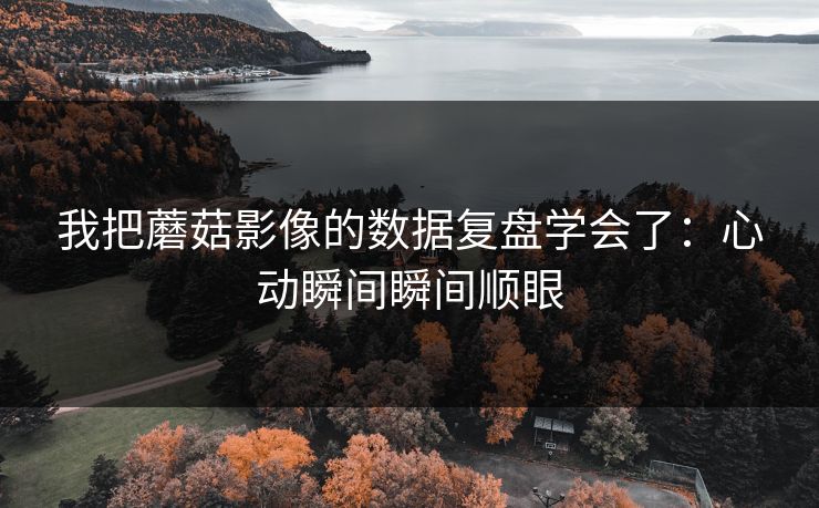 我把蘑菇影像的数据复盘学会了：心动瞬间瞬间顺眼